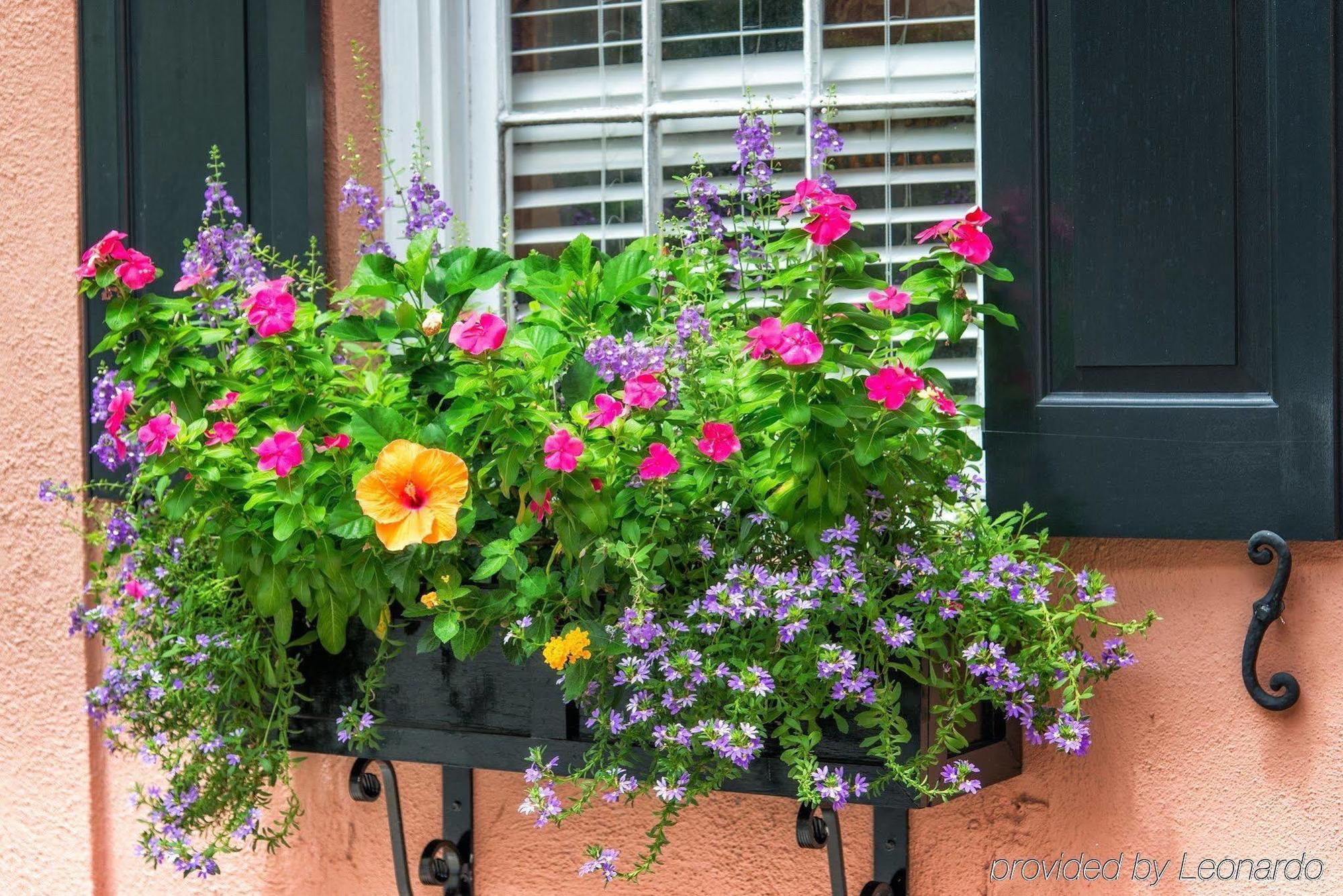 The Elliott House Inn Charleston Dış mekan fotoğraf